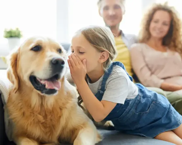 Niña susurra secretos a un golden retriever, como si los perros se comunicaran entre ellos. Padres sonríen al fondo.