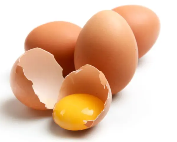 Huevos marrones, uno roto mostrando la yema brillante. ¡Un manjar que los perros pueden comer!