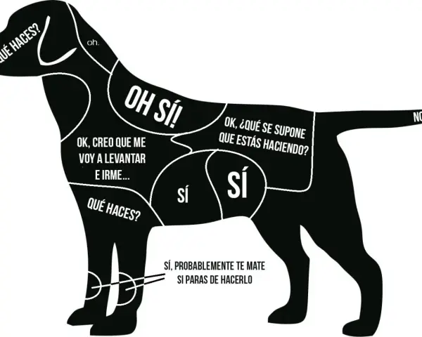 Mapa de zonas de caricias para un perro, indicando dónde acariciar para que se duerma y dónde no.