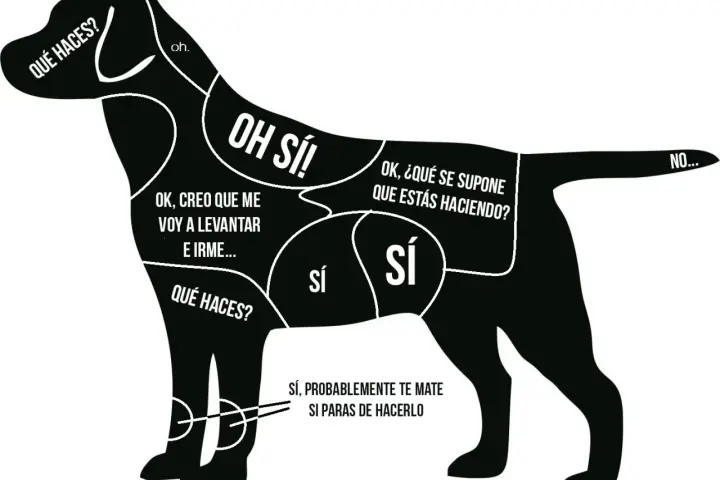 Mapa de zonas de caricias para un perro, indicando dónde acariciar para que se duerma y dónde no.