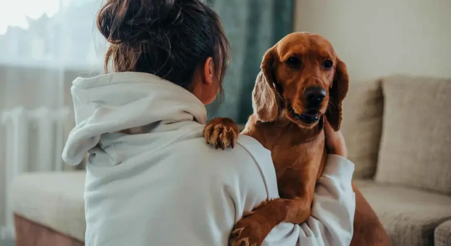 Un perro marrón abraza a su dueña, una forma tierna de saber si mi perro me quiere. Su pata descansa en su hombro.