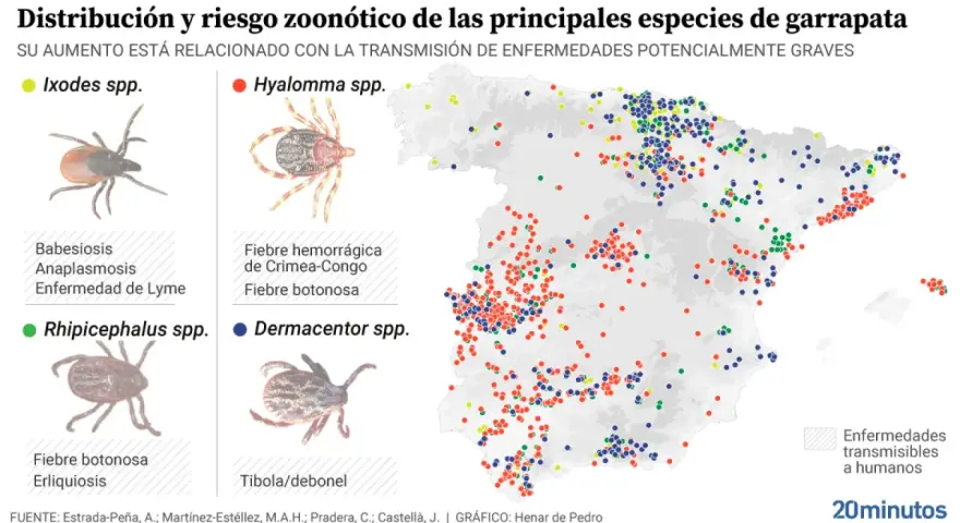 Mapa de España con puntos de colores que indican la distribución de distintos tipos de garrapatas y las enfermedades que transmiten.