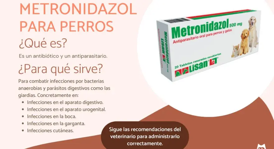 Caja de Metronidazol 500 mg para perros y gatos, un antiparasitario para tratar diversas infecciones.