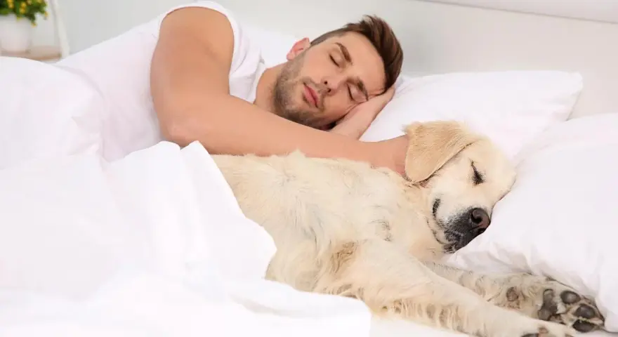 Un hombre duerme abrazado a su perro. A pesar de que mi perro tiene garrapatas, duerme conmigo en la cama.