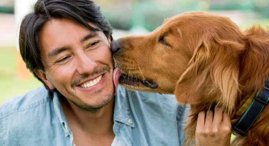Un hombre sonríe mientras su perro le lame la cara. Es un gesto de cariño, una muestra de por qué mi perro me lame.