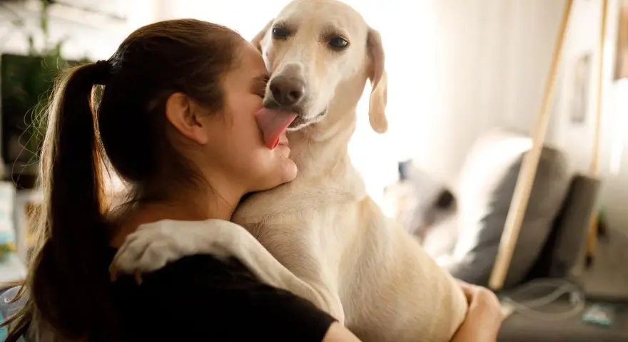 Mi perro me da muchos besos, lamiendo mi cara con ternura.