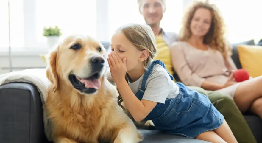 Niña susurra secretos a un golden retriever, como si los perros se comunicaran entre ellos. Padres sonríen al fondo.