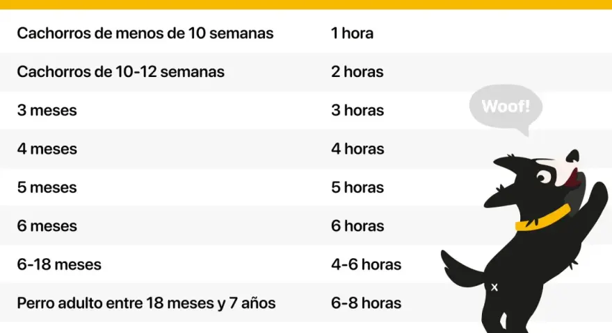 Tabla que indica el tiempo máximo recomendado para dejar al perro solo en casa según su edad. Un perro feliz es un perro bien cuidado.