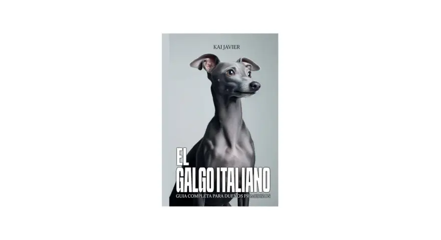 Un elegante galgo italiano, con su esbelto cuello y mirada curiosa, posa para la portada de "El Galgo Italiano: Guía Completa para Dueños Primerizos".