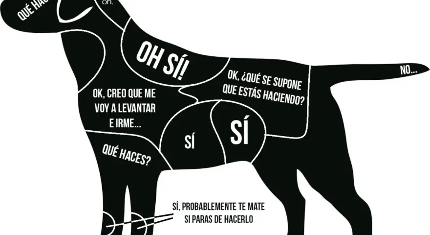 Mapa de zonas de caricias para un perro, indicando dónde acariciar para que se duerma y dónde no.