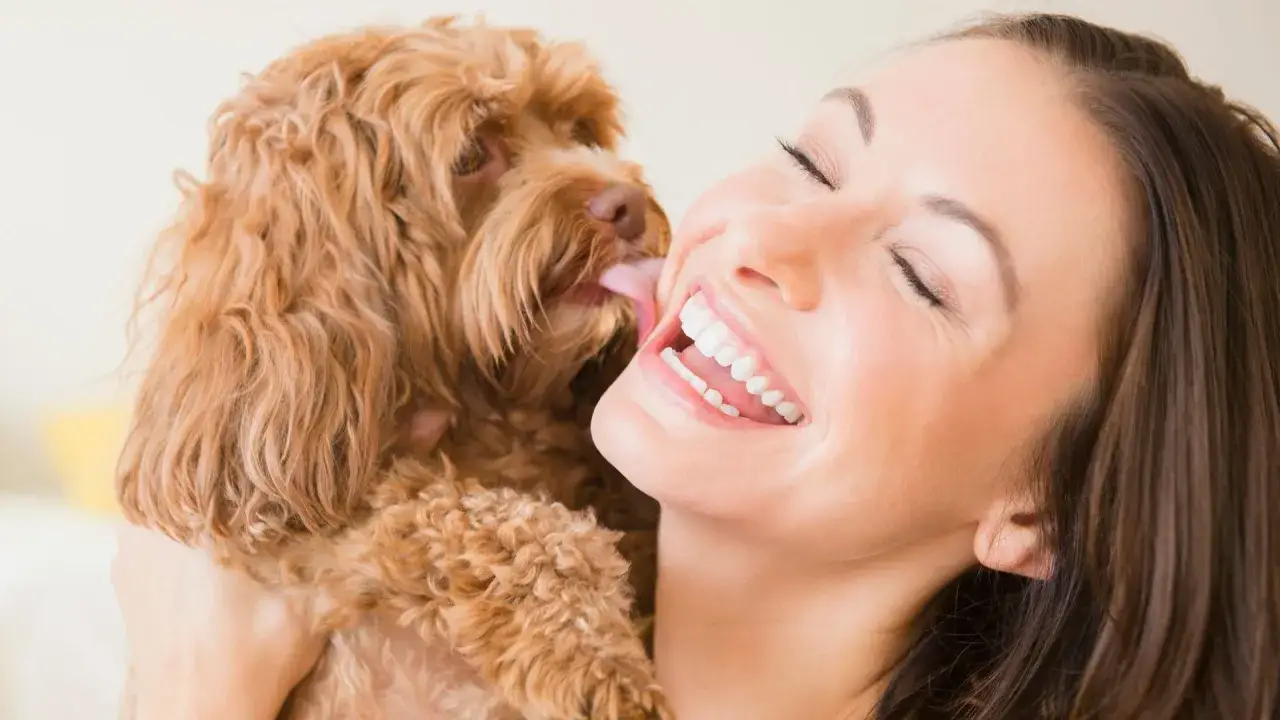 Mi perro me da muchos besos, ¡y me encanta! Su lengua peluda me hace cosquillas en la mejilla mientras ríe.