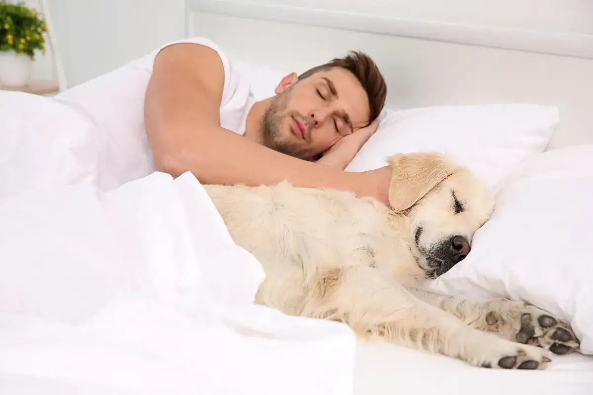 Un hombre duerme abrazado a su perro. A pesar de que mi perro tiene garrapatas, duerme conmigo en la cama.