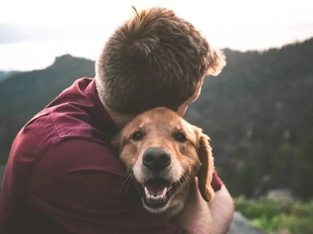 Un hombre abraza a su perro, que se tumba a su lado con una sonrisa. El sol ilumina sus cabellos.