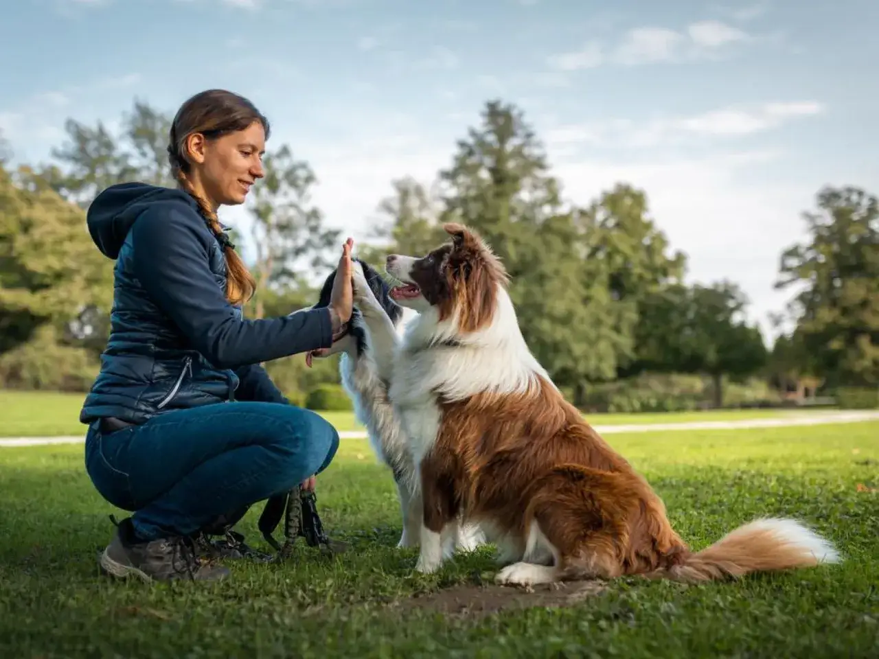 Mujer y perro se dan la mano en el parque. La conexión se construye rápido, pero ¿cuanto tarda un perro en adaptarse a un nuevo dueño?