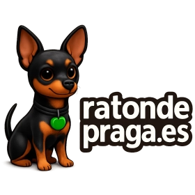 ratondepraga.es