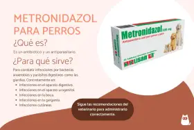 Caja de Metronidazol 500 mg para perros y gatos, un antiparasitario para tratar diversas infecciones.