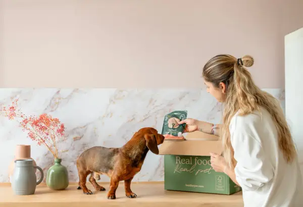 Una mujer le da a su teckel un paquete de comida para perros. Descubre qué dar de comer a un teckel con esta deliciosa opción.